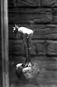 (Bild: 6) Hantverksveckan (vecka 43) 1995. En lgskulptur av lera. 